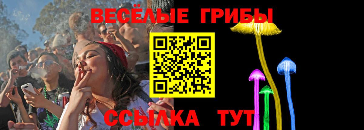 Псилоцибиновые грибы GOLDEN TEACHER Добрянка