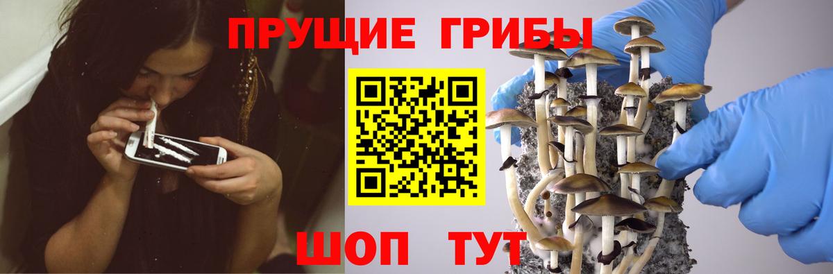 Добрянка  Галлюциногенные грибы Psilocybine cubensis  Вход с VPN 
